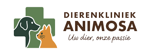 Animosa